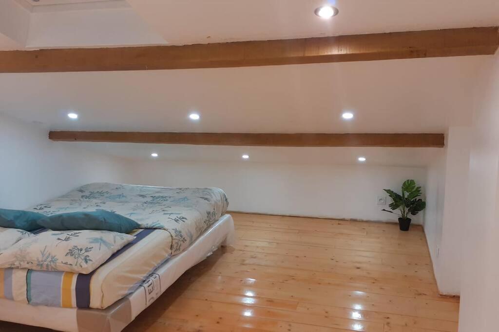 Appartement La Joie Dans Quartier Chic Pibrac Dış mekan fotoğraf