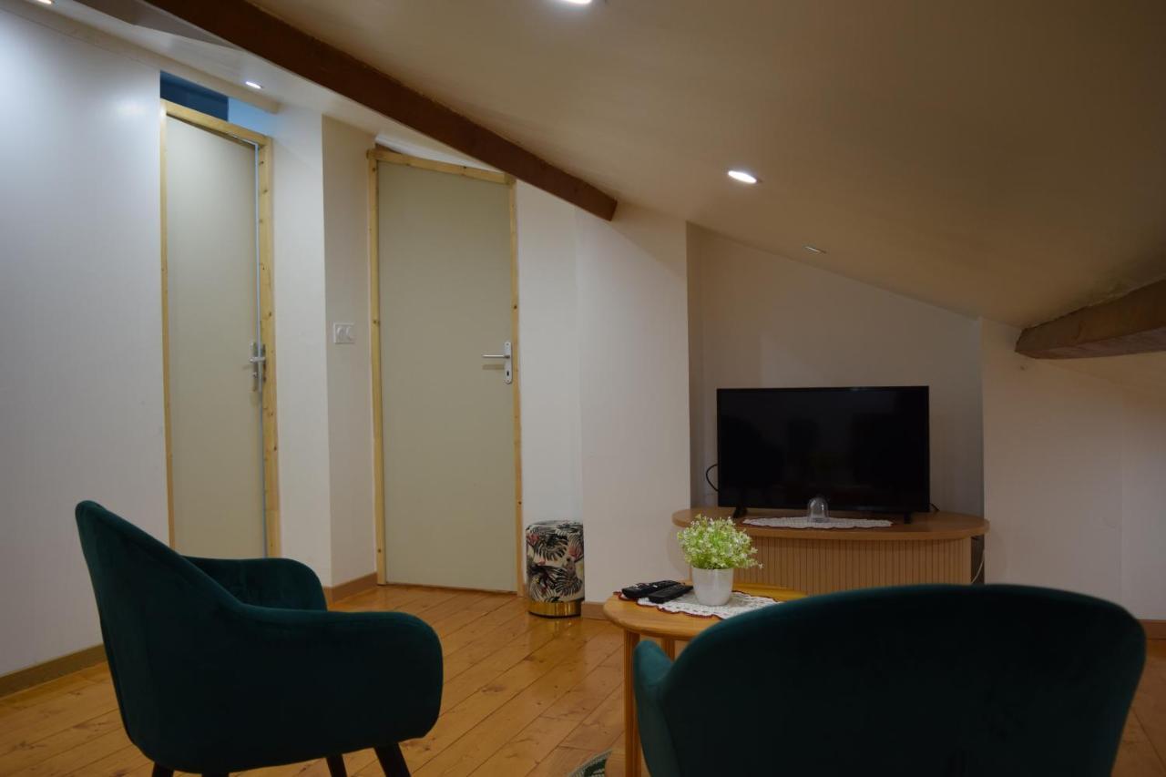 Appartement La Joie Dans Quartier Chic Pibrac Dış mekan fotoğraf